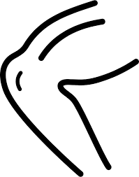 KNEE
