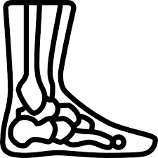 FOOT AND ANKLE